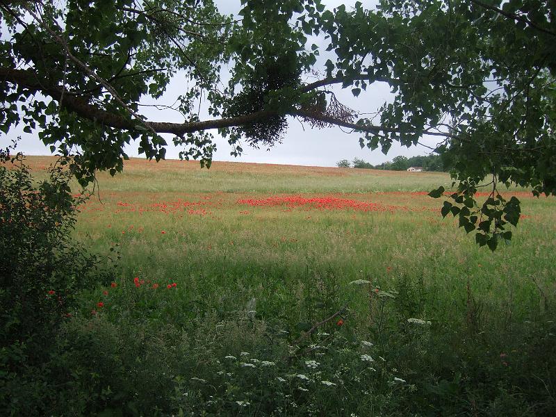 2011-05- (151).JPG